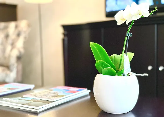 Apartamento & - Town Hall *